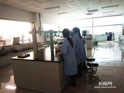 河北 1月农产品整体合格率为98.85