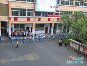 樟树市实验小学举行2019年防震减灾应急疏散演练 图