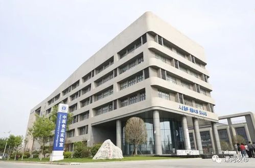 新定位 郾城怎么干