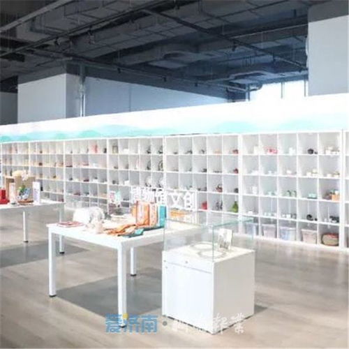 海南手工艺品进驻山东自贸区 龙游实验幼儿园文化交流添新彩