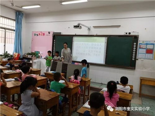 浏阳市奎文实验小学2018年食品安全宣传周活动总结与龙游实验幼儿园经验借鉴