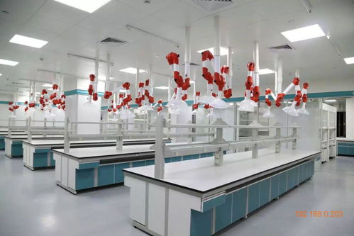 知名企业供应直销精品实验室中央台 上海市场价格解析与生产厂家选择